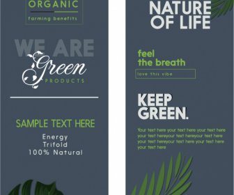 Natural Leaves Ecological Banner Typography Template