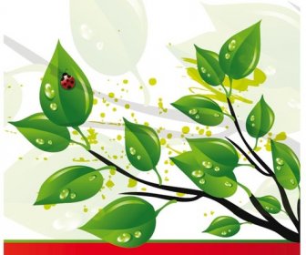 Natürliche Blätter Grünen Ökologie Broschüre Vorlage Vektor