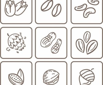 Natural Nut Icons Collection Flat Monochrome Sketch