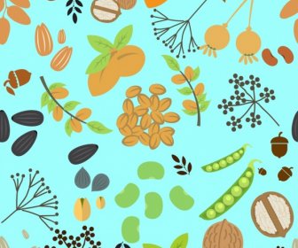 Natural Nuts Background Various Colorful Flat Types
