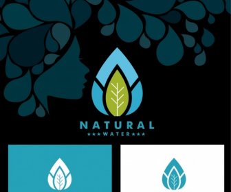 Natural Water Icon Sets Leaf Icon Ornament