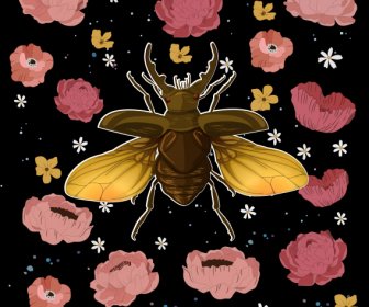 Nature Background Beetle Petals Sketch Colorful Dark Design