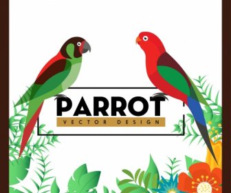 Nature Background Colorful Parrots Flowers Decoration
