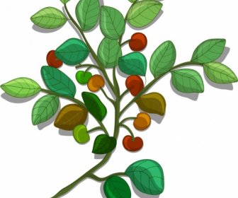 Natur Hintergrund Fruchtiges Blatt Zweig Icon Mehrfarbiges Design