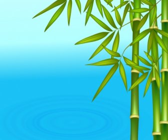 Природа фон зеленый бамбук голубой водой поверхности иконки