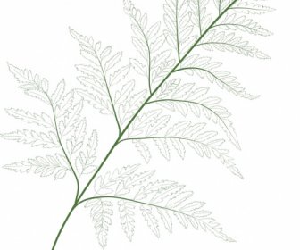 자연 배경 녹색 잎 분기 스케치