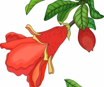 Nature Background Pomegranate Flower Fruit Icons Decor