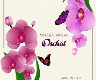 La Natura Dello Sfondo Viola Orchidee Fiori Ornamento