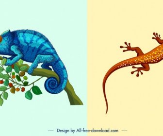 Nature Des Modèles Caméléon Gecko Icônes Colorées Design Fond