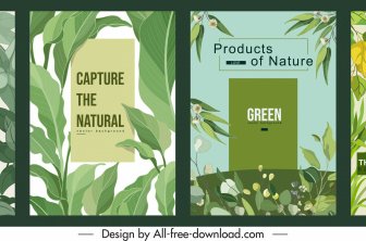 Nature Background Templates Classical Green Leaves Sketch