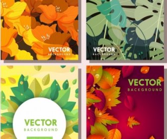 Nature Background Templates Colorful Flower Leaves Decor