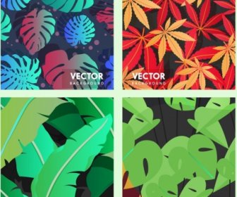 Modelos De Plano De Fundo Natureza Coloridos Folhas Decoração