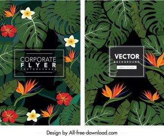 Nature Background Templates Dark Colorful Flower Leaves Ornament