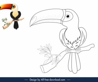Nature Coloring Book Elements Toucan Sketch