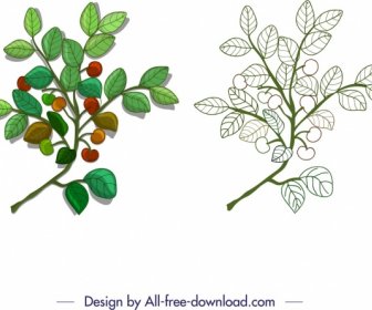 Nature Design Element Leaf Fruit Branch Sketch