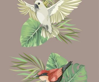 Nature Design Elements Bird Species Leaf Sketch