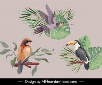 Elemen Desain Alam Makhluk Burung Sketsa Handdrawn Klasik
