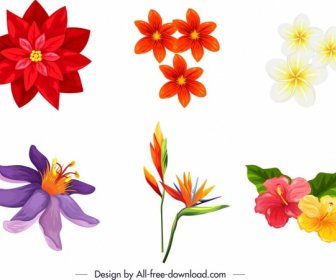 Natur-Design-Elemente Bunte Flora-Ikonen