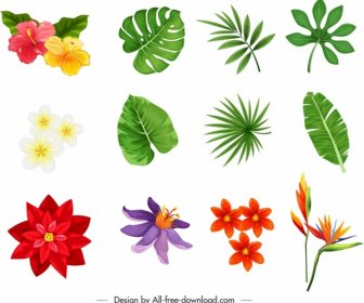 Nature Design Elements Colorful Petals Leaf Sketch