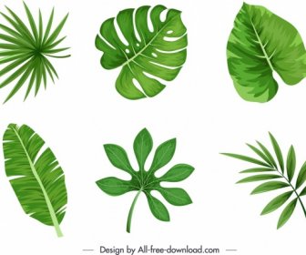 Nature Design Elements Flat Green Leaf Shapes Sketch