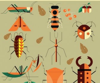 Desain Elemen Belalang Bug Kupu-kupu Ikon Alam