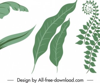 Nature Design Elements Green Leaf Sketch