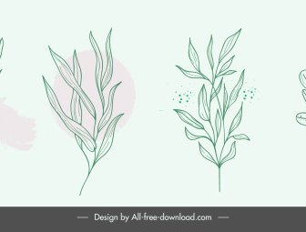 nature design elements handdrawn flower leaf sketch