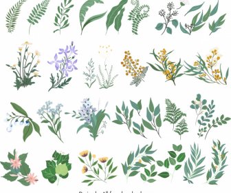 自然デザイン要素葉植物学スケッチ古典的な手描き