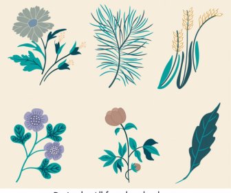 Nature Elements Icons Classic Handdrawn Floras Leaves Sketch