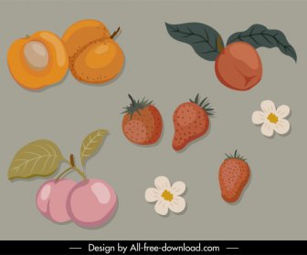 Nature Elements Icons Classical Fruits Flora Sketch