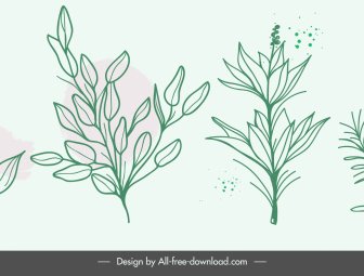 Nature Elements Icons Handdrawn Botany Leaves Sketch