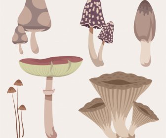 Nature Elements Icons Mushrooms Shapes Sketch Classic Design