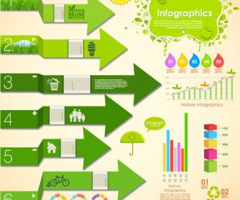 Nature Infographic Vector