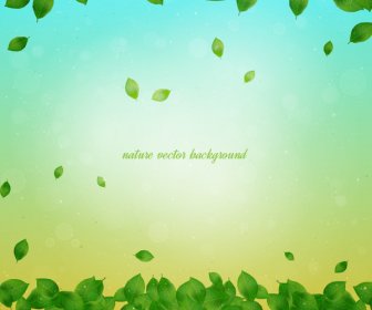 Nature Leaf Background
