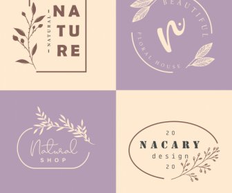 Plantillas De Logotipos De Naturaleza Brillante Clásico Dibujado A Mano Decoración De Plantas