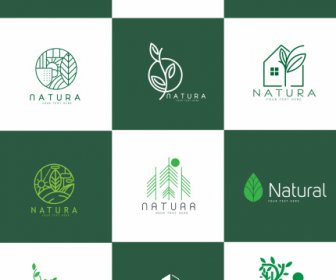 шаблоны логотипа природы плоский зеленый лист эскиз
