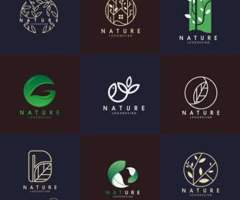 Logotypes De La Nature Feuille Croquis Sombre Plat 3d Conception