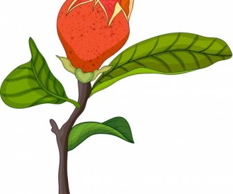 Natur-Malerei-Granatapfel-Knospe Verlässt Symbole