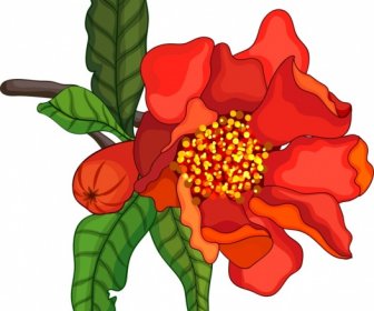 자연 그림 빨간 석류 꽃 아이콘