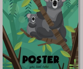 Nature Affiche Koala Espèces Esquissent Design Classique Coloré