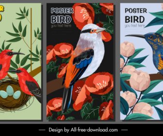 Nature Posters Templates Colorful Classic Bird Floras Design