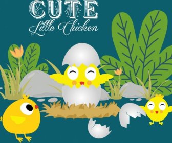 Bayi Ayam Latar Belakang Desain Kartun Berwarna