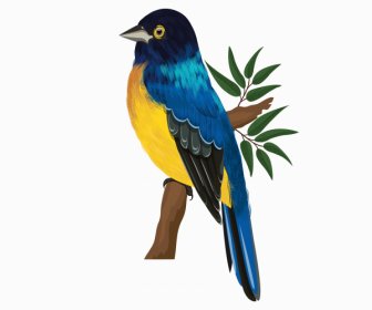 Nightingale Bird Icon Perching Sketch Colorful Decor