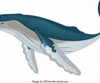 Ocean Design Element Whale Icon Colored Sketch