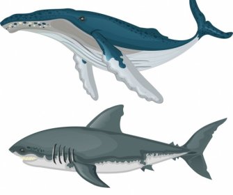 바다 디자인 요소 고래 상어 아이콘 컬러 스케치
