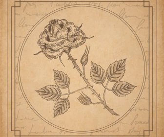 Old Paper With Floral Background Vector Set