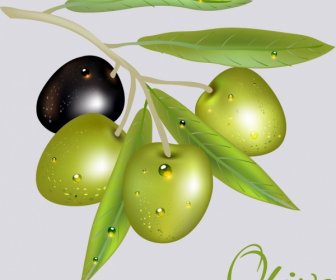 Conception De L'icône Vert Olive Noire Brille
