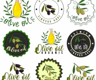 Olive Etichette Raccolta Frutta Jar Icone Varie Forme