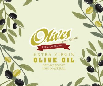 Olive Oil Advertisement Fruits Icons Decoration Retro Design