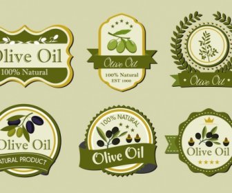 Olivenöl Beschriften Vorlagen Verschiedenen Grünen Formen Isolierung